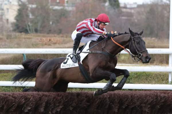 Photo de MISTER VISION cheval de STEEPLE CHASE