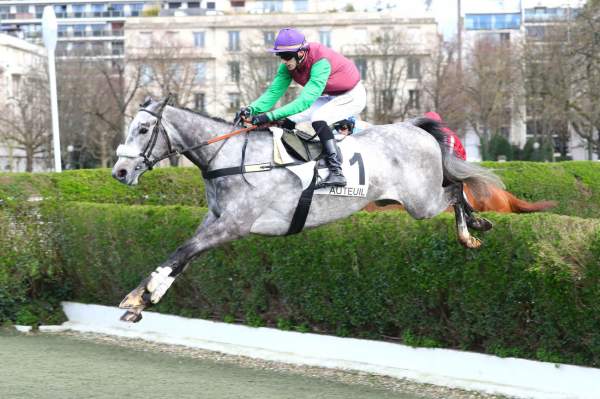 Photo de EXCELLO cheval de STEEPLE CHASE