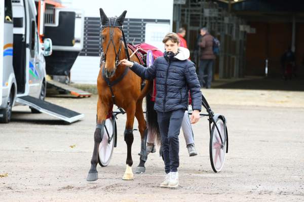 Photo de KALYPSO ICE cheval de TROT MONTE