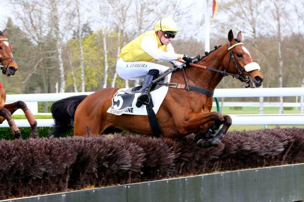 Photo de OLAWAY cheval de HAIES