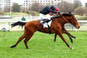 La photo de Juntos Ganamos Arrivée du Prix Duc d'Anjou Hippodrome d'Auteuil
