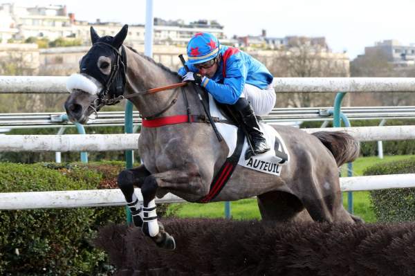 Photo de LE PHILOSOPHE cheval de STEEPLE CHASE