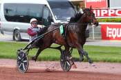 La photo de Just A Gigolo Arrivée PMU Pick5 Prix de Tonnac-Villeneuve à Enghien