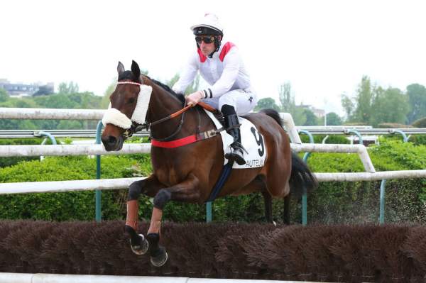 Photo de KA FEE INN cheval de HAIES