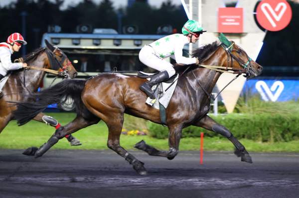 Photo de JASMINE DE NEUVY cheval de TROT MONTE