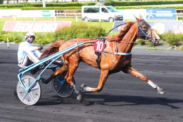 Photo de JACKPOT D'ORGUEIL cheval de TROT ATTELE