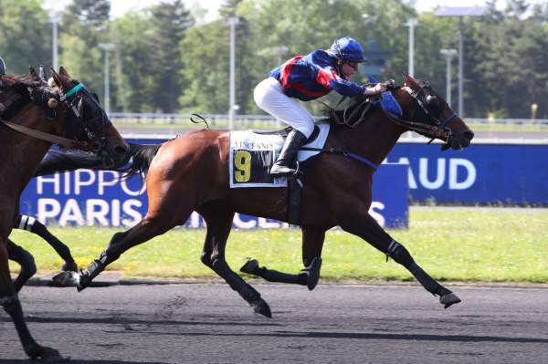 GEF DE PLAY La Fiche CANALTURF Du Cheval Performances Pmu P digr 