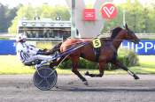 La photo de Kiss Atout Arrivée Prix Coronis Hippodrome de Vincennes