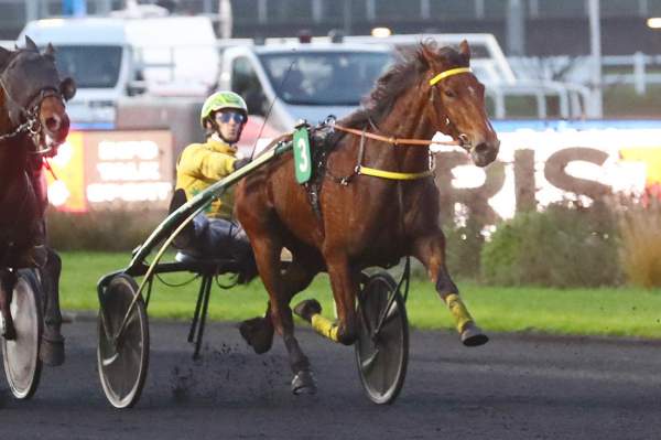 Photo de INDIA SEA cheval de TROT ATTELE