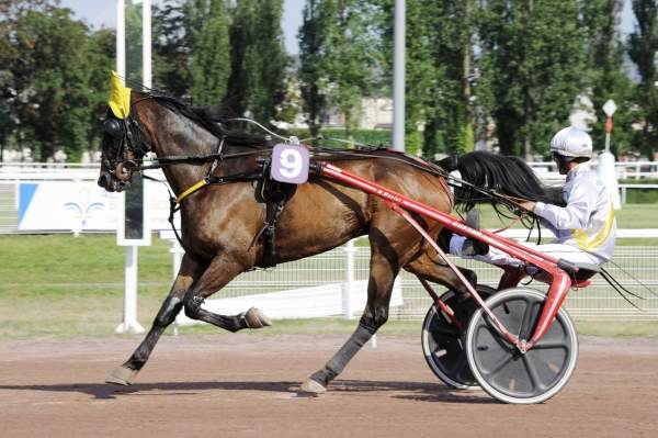 La photo de Femto De Vauvert Quinté+ prix de Grosbois Hippodrome de Vichy 