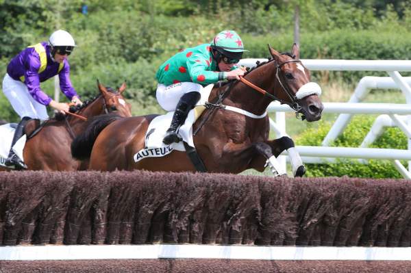 Photo de SPEED EMILE cheval de HAIES