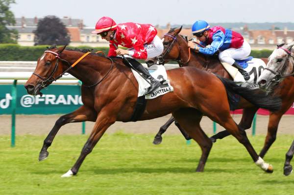 La photo de Woodchuck Prix du mont Pagnotte Hippodrome de Chantilly