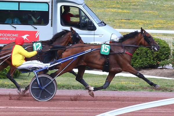 Photo de JURILOVCA cheval de TROT ATTELE