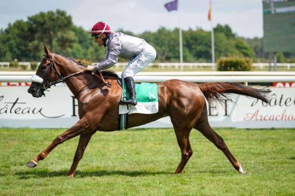 Photo de NOUR AL MAURY cheval de PLAT