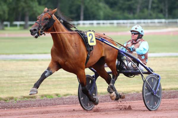 Photo de KANSAS QUICK cheval de TROT ATTELE