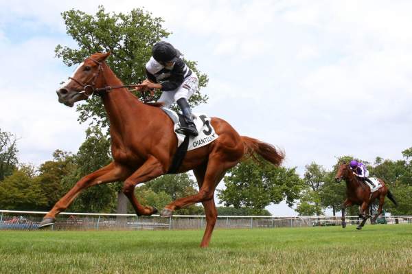 La photo de Ramatuelle Arrivée PMU Prix Robert Papin à Chantilly