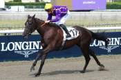 La photo de The First Lady Prix du Chemin Blanc Hippodrome de Chantilly