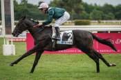 La photo de Zorken Criterium du Bequet Ventes Osarus Hippodrome de La Teste de Buch