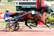 La photo de Jamaica Island Arrivée Prix de Clichy à Enghien 