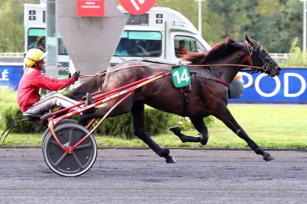 Photo de KAPITANO DE SOURCE cheval de TROT ATTELE