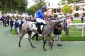 La photo de Oasis Bay Arrivée PMU Prix de Perseigne à Deauville 