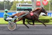 La photo de Ipalio arrivée PMU Prix du Perigord à Vincennes 