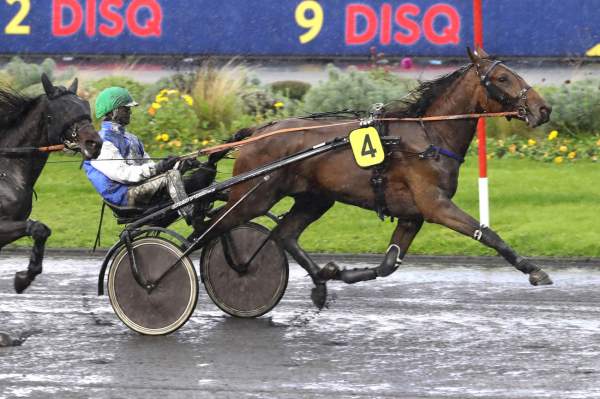 Photo de KAPORAL VISAIS cheval de TROT ATTELE
