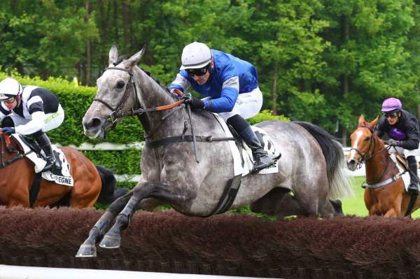 Photo de LA CHENEVIERE cheval de HAIES