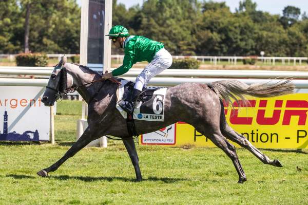 Photo de AFRICA DE MONLAU cheval de PLAT