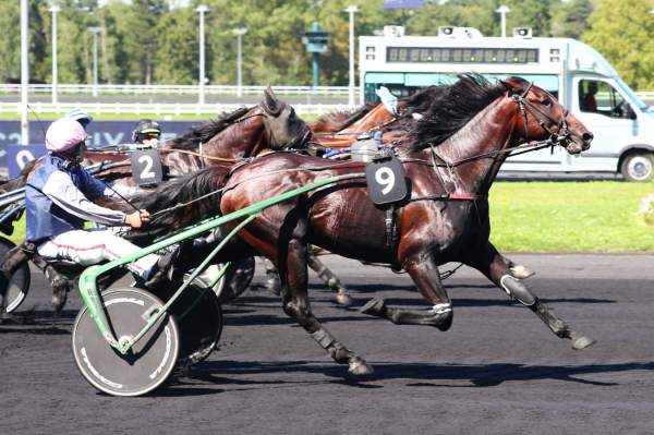 Photo de JET EXPRESS cheval de TROT ATTELE