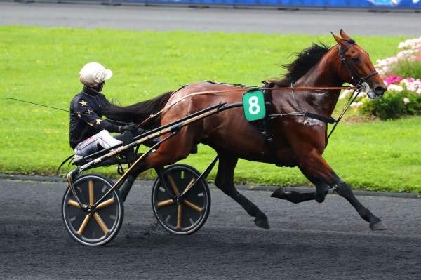 Photo de J'AIME LE FOOT cheval de TROT MONTE