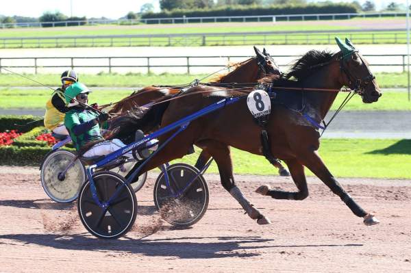 La photo de Jalna Rosa Club 