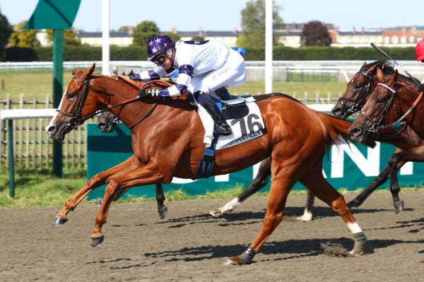 KILIA - La fiche CANALTURF du cheval, performances pmu, pédigré, évolution de la cote en direct