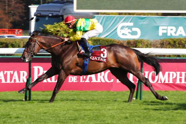 La photo de Fang arrivée PMU Qatar Prix du Pin (Gr3) à ParisLongchamp 