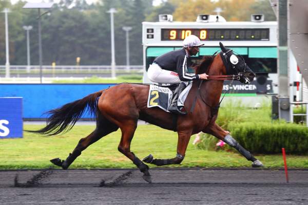 Photo de KOPRIORO cheval de TROT MONTE