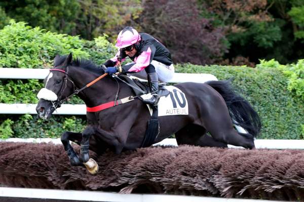 Photo de JORDANS cheval de HAIES