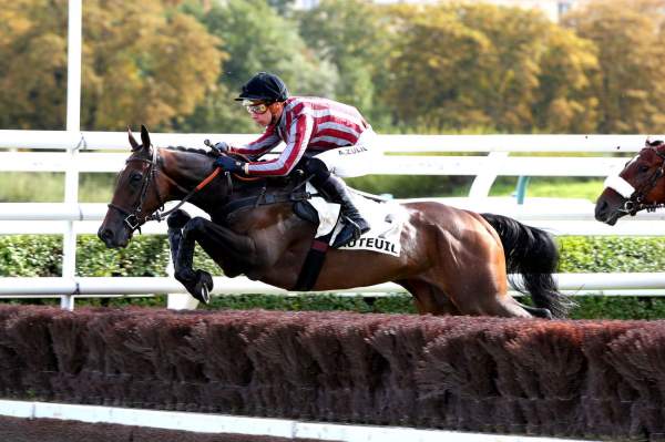 Photo de GAME OF STORM cheval de STEEPLE CHASE