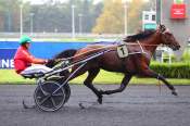 La photo de Lemon Tree arrivée PMU Prix Erato à ParisVincennes 