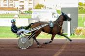 La photo de Hach Des Capelles arrivée PMU Prix Intermarché à Feurs