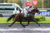 La photo de Jasmine De Forgan arrivée PMU Prix de Drancy à ParisVincennes 