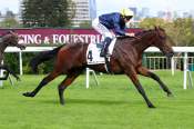 La photo de Alcantor arrivée PMU Prix Thomas Bryon (Gr.3) à Saint-Cloud 