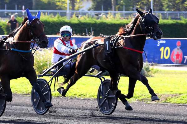 Photo de JACK DES MALBERAUX cheval de TROT MONTE