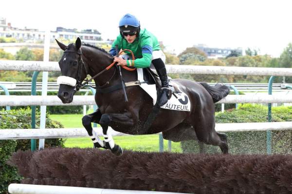 Photo de KIND LOVELY cheval de STEEPLE CHASE