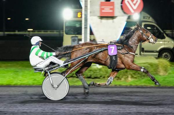 La photo de Lover Sixty One 