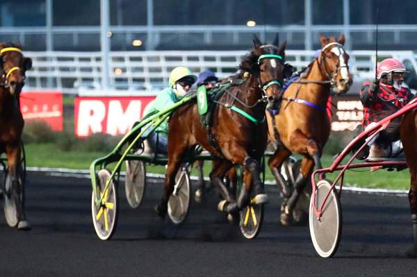 La photo de Jaguar D'obret 