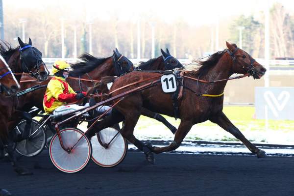 Photo de KOSMOPOLITAINE cheval de TROT ATTELE