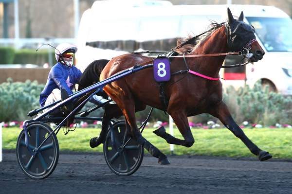 La photo de Lovino Bello Arrivée PMU Prix Paul Viel à Vincennes