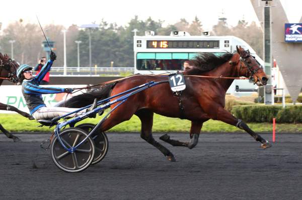 Photo de IDAO DE TILLARD cheval de TROT ATTELE