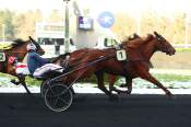 La photo de Love Letter arrivée PMU Prix de Maisons-Laffitte à Paris Vincennes 