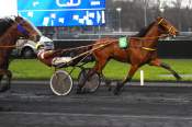 La photo de Ino Du Lupin Arrivée PMU Pick5 Prix Michel Marcel Gougeon à Vincennes